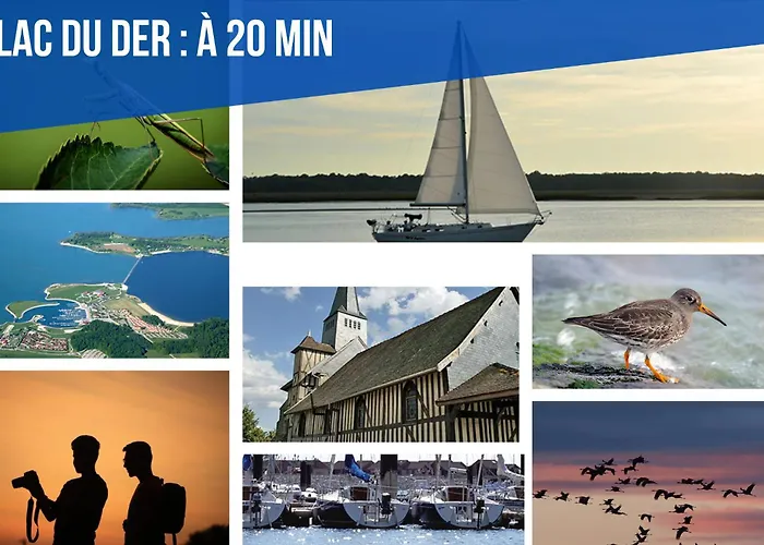 La Sweet House Doree Centre Wifi Confort Apartment Vitry-le-Francois